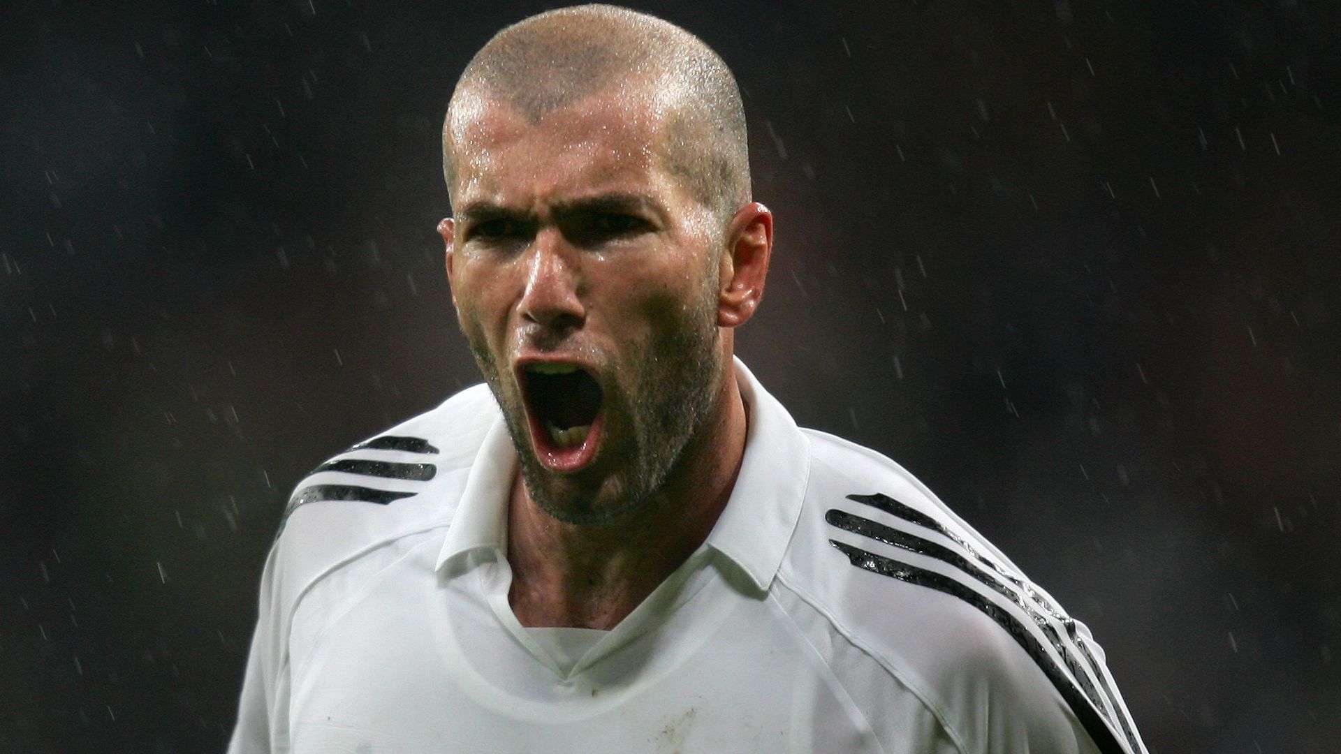 足壇中裁判 足壇中裁判