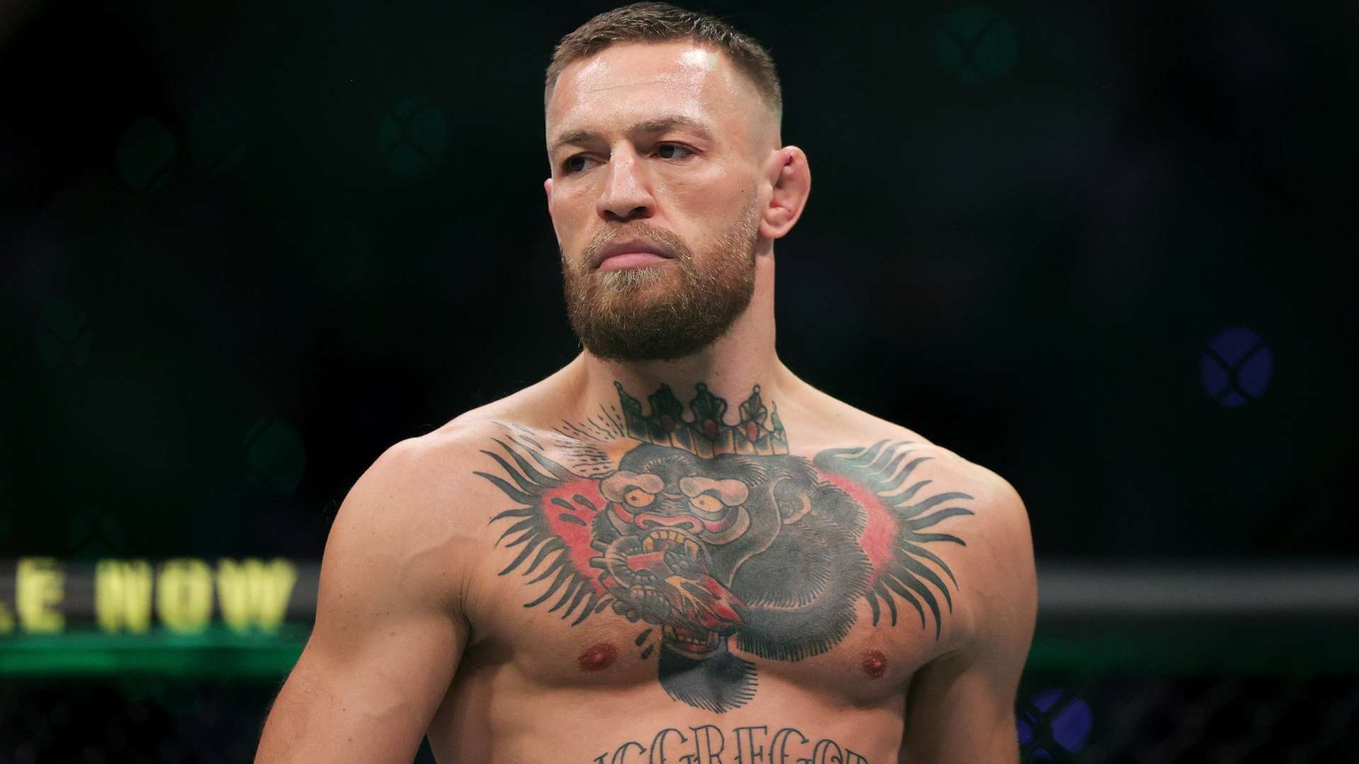 在争冠道路 在争冠道路